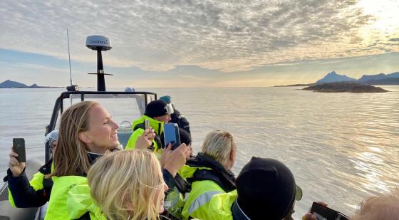 Svolvær havørnsafari