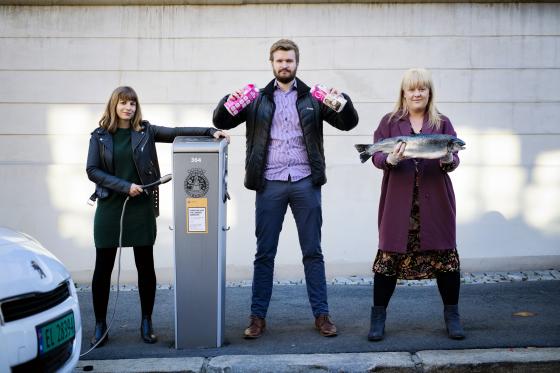 Vera Øian, Tormod Dalheim Bekkevoll og Solveig Bjørnerud Khan jobber med henholdsvis offentlig støtte, melkekvoter og fisk. Foto: Siv Dolmen