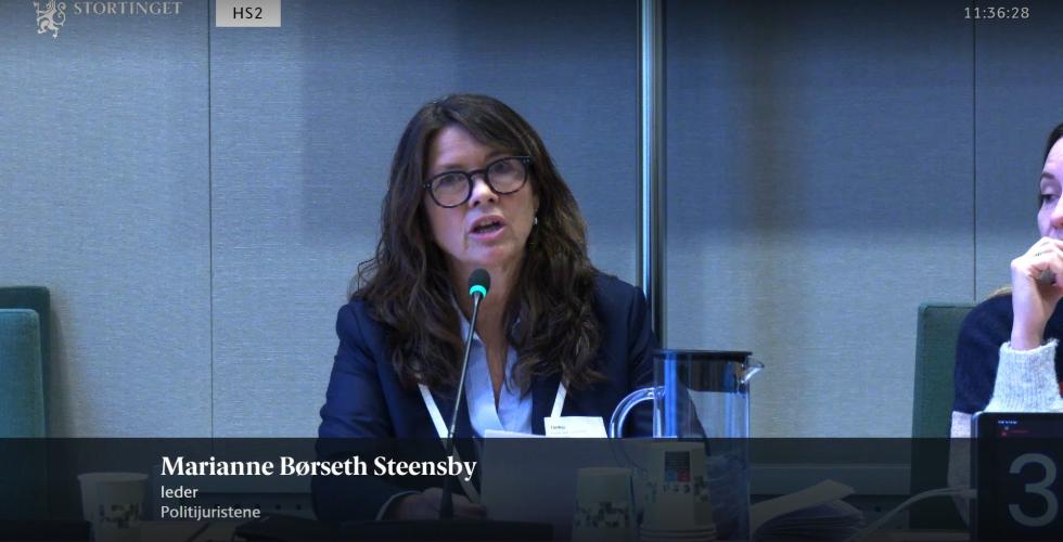 Marianne Børseth Steensby (Foto: Stortingets nett-tv)