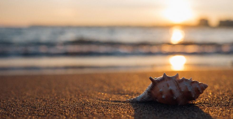 Foto: Pixabay
