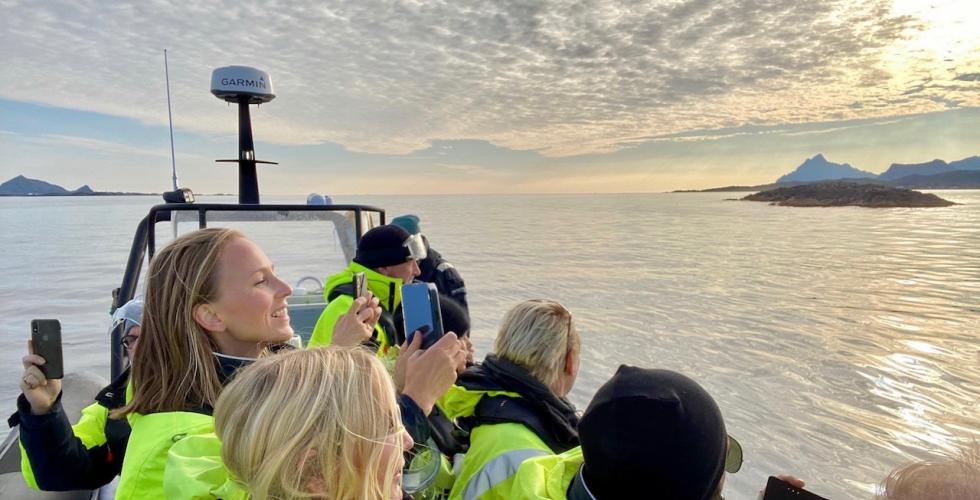 Svolvær havørnsafari
